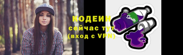 прущие грибы Бугульма