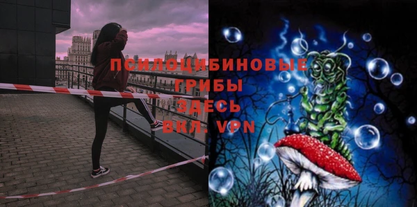 прущие грибы Бугульма