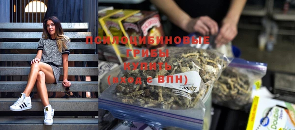 прущие крисы Богданович