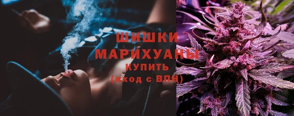 прущие грибы Бугульма